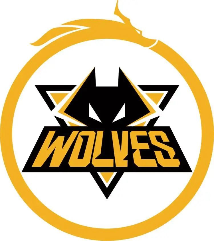 Lobanjica 呼吁各队抵制在奥斯汀 Major 上的媒体活动，因 Bestia 事件