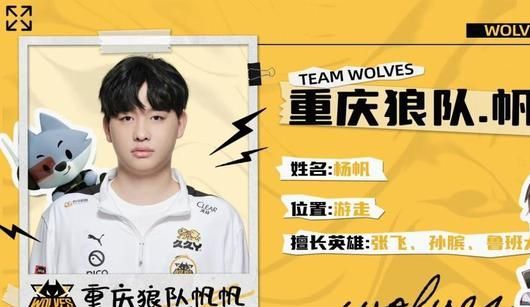 大龙团的